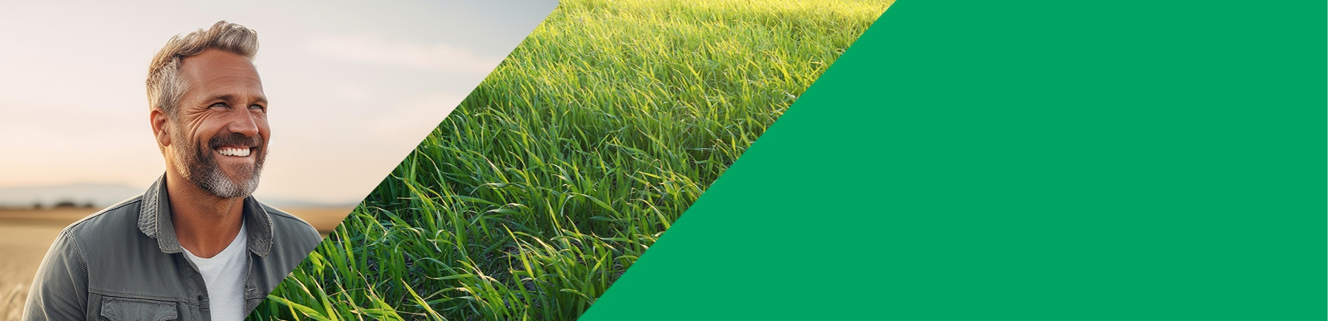 BMUKN: Maschinenförderung Förderung für Maschinen zur Stärkung der Bodenfunktionen in Agrarlandschaften im Aktionsprogramm Natürlicher Klimaschutz.