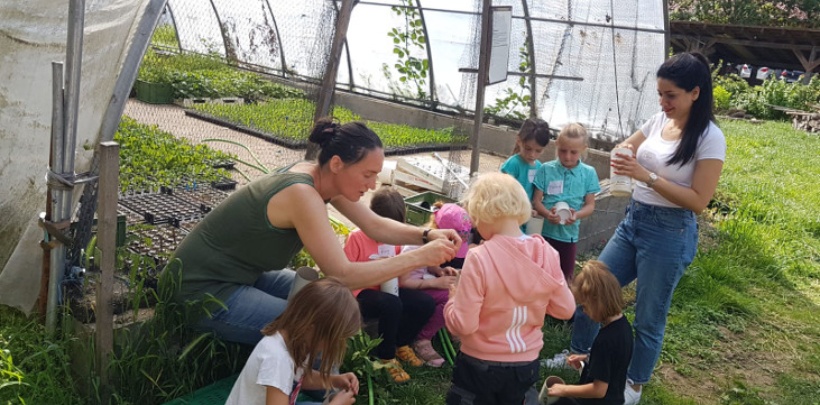 Kindertag auf dem Dottenfelderhof