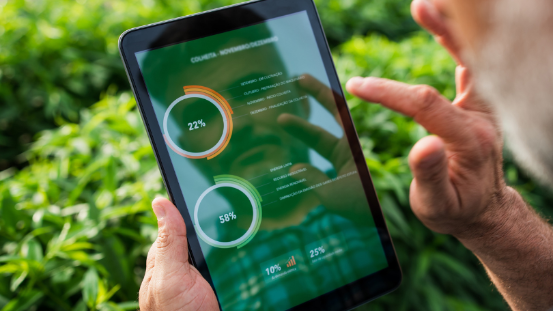 Mann steht im Feld und schaut sich Auswertungen auf einem Tablet an