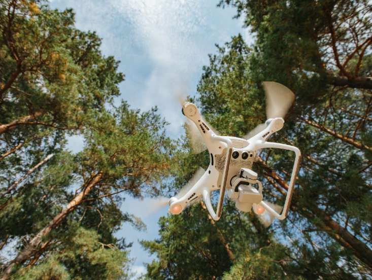 Investitionszuschüsse zu Digitalisierung und Technik für die nachhaltige Waldwirtschaft